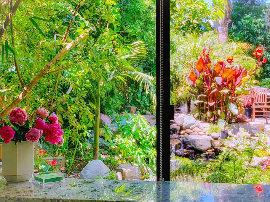 🌿 The L I L Y  P A D 🌿| Tiny Living | Urban Oasis