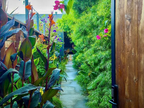 Kaval Park - Peaceful Urban Oasis