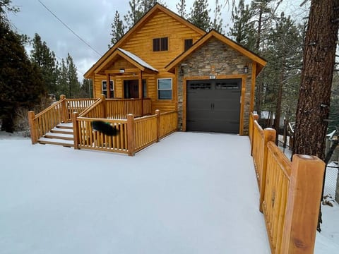 First big snow of 2022 - Front of house.