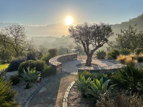 View of the valley outside with olive and almond trees