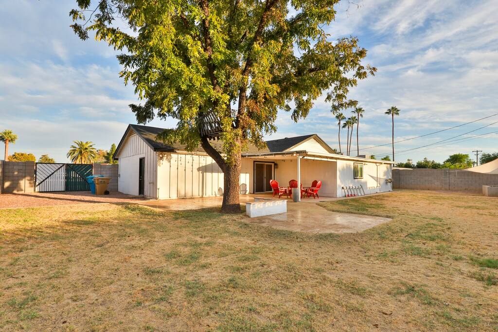 Entire backyard view