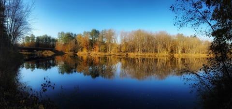 Saco River Retreat