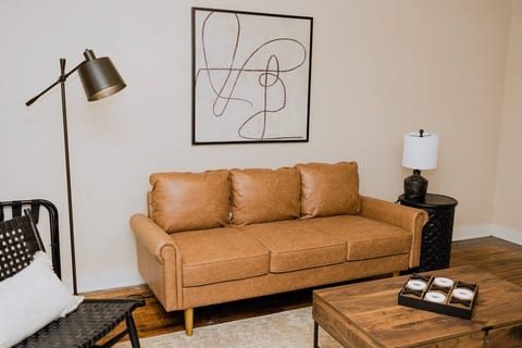 Newly Remodeled Condo in Historic Lowertown