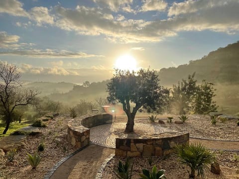View over beautiful Olive Valley