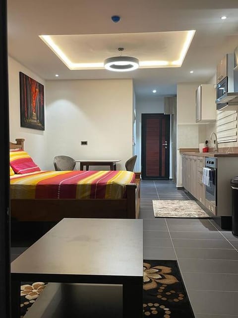 Park D-plus Apartments Studio - Cantonments
