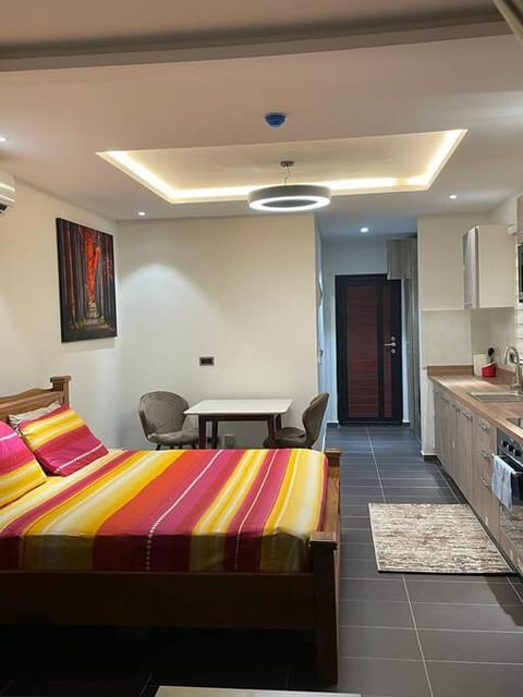 Park D-plus Apartments Studio - Cantonments