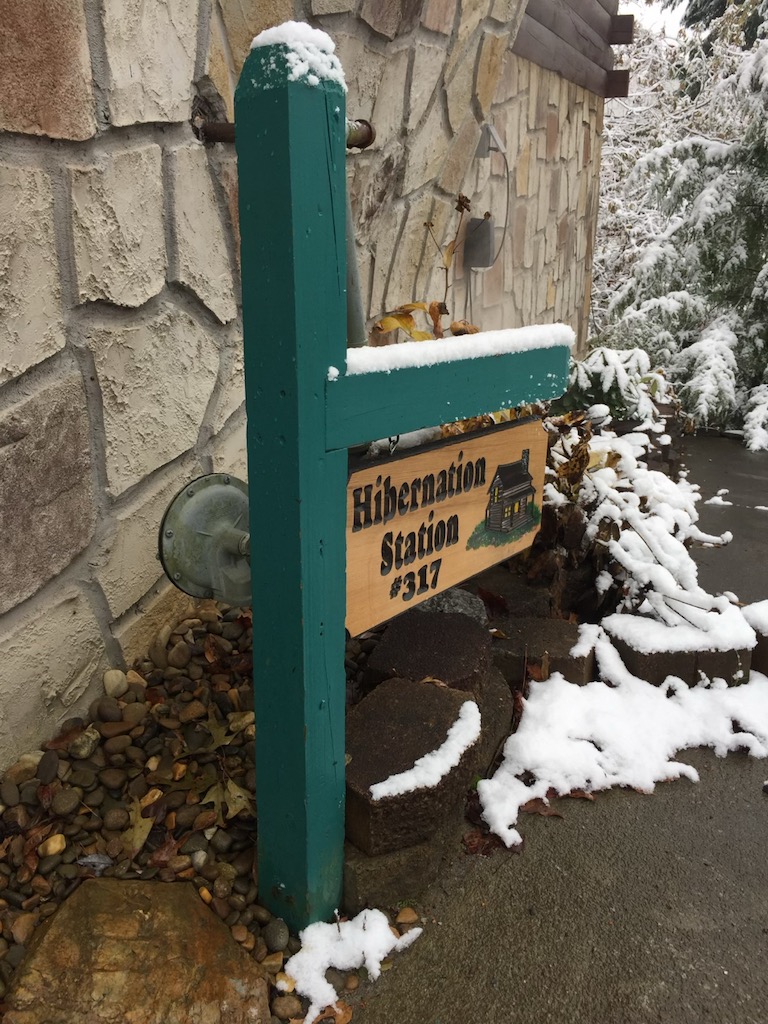 Hibernation Station - Gatlinburg