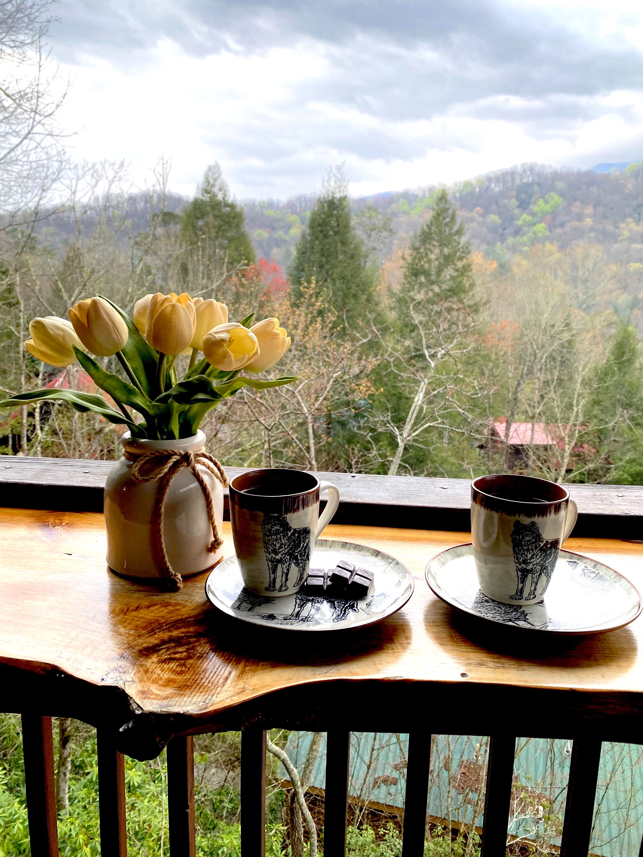 Hibernation Station - Gatlinburg