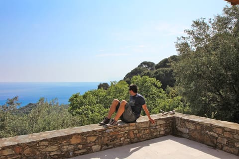 Sea view