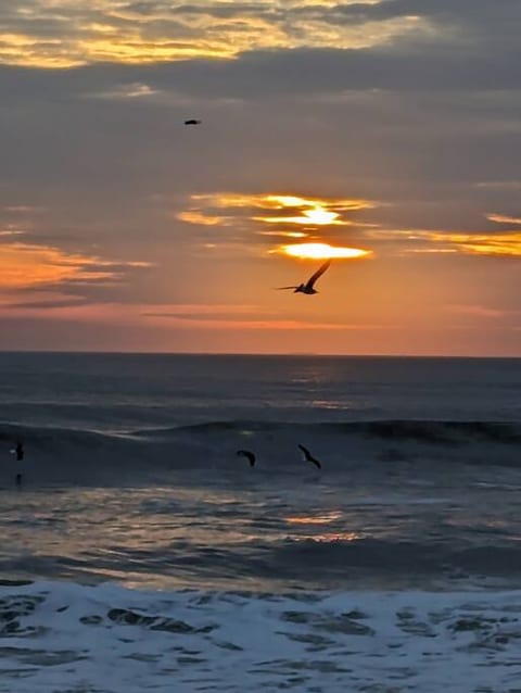 SunRise 'n Shine