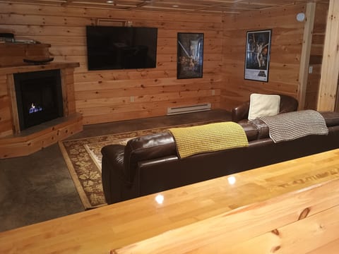 TV / family room (level 1)