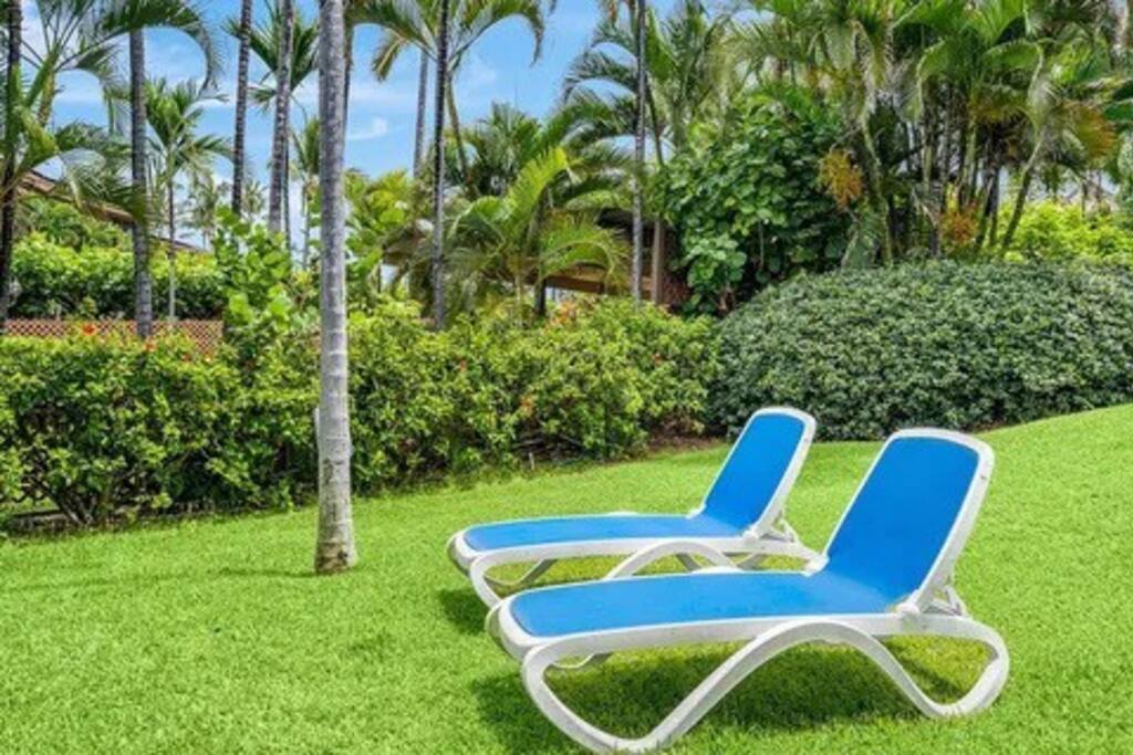 Very Clean-Newly Remodeled-Ocean Front View - Kona Very Clean-Newly Remodeled-Ocean Front View - Kona