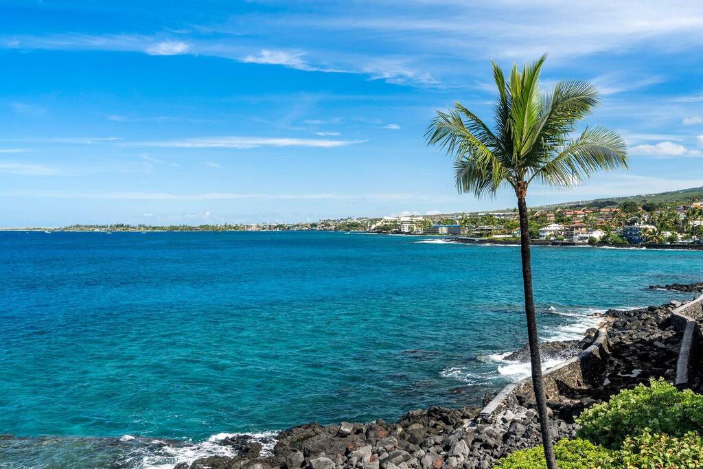Very Clean-Newly Remodeled-Ocean Front View