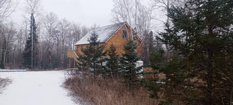 Exterior from the driveway