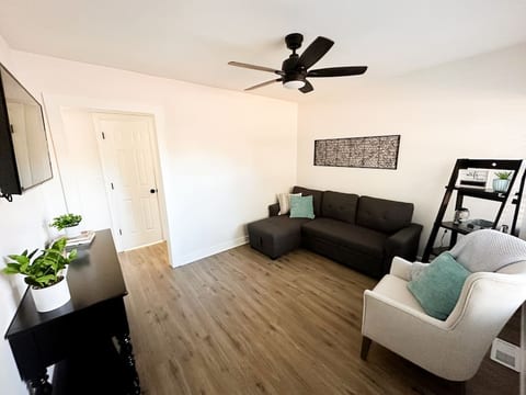 Living room with pull out sofa