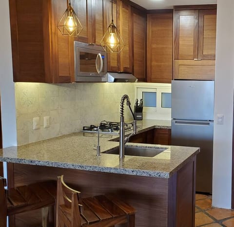 Stunning ocean views condo in Lower Amapas