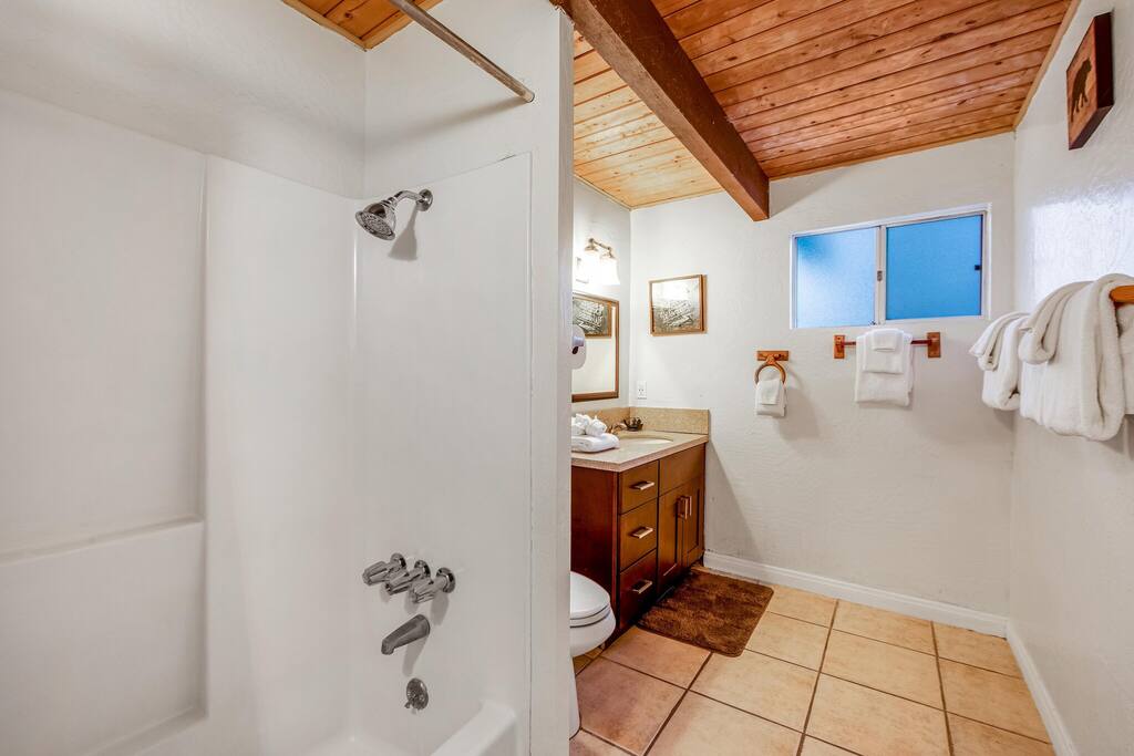 Mountain & Ski Slope View Cabin 3bd/3bth Sleeps 10