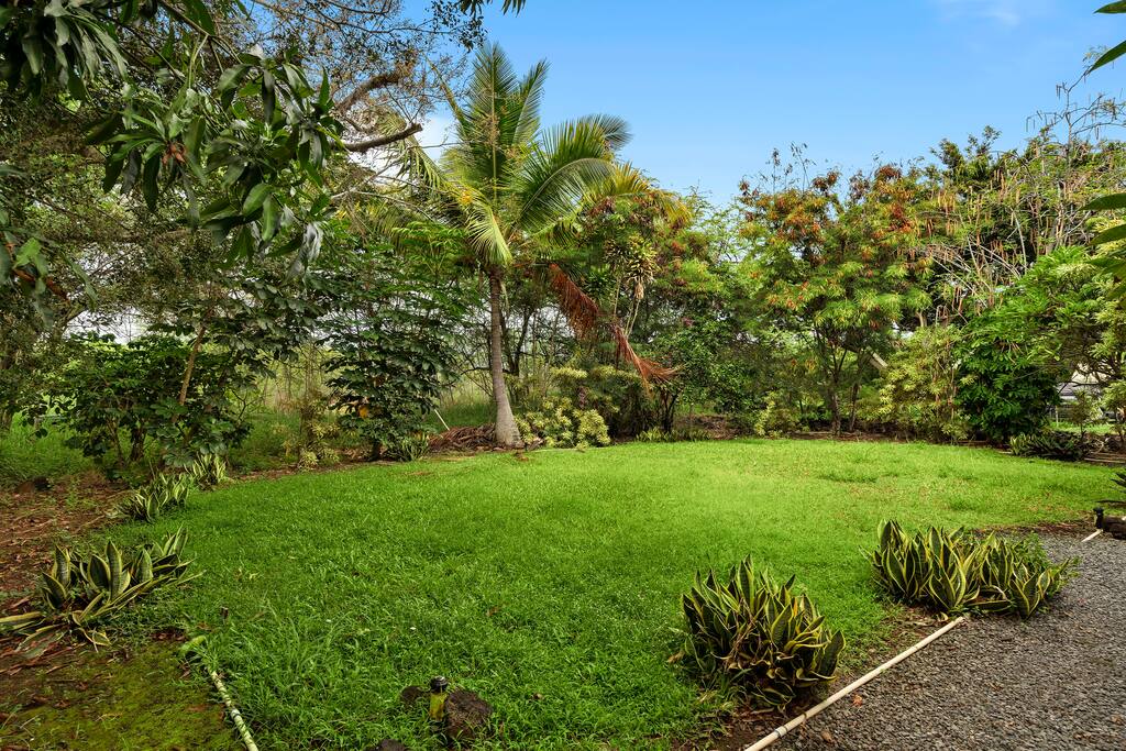Experience the island life in the amazing private backyard full of mature tropical plants and trees - New A/C Central Kona Surf House 4bd/4bth Sleeps8 - Kona