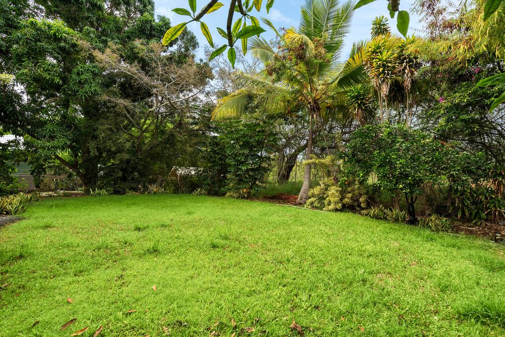 Experience the island life in the amazing private backyard full of mature tropical plants and trees - New A/C Central Kona Surf House 4bd/4bth Sleeps8 - Kona