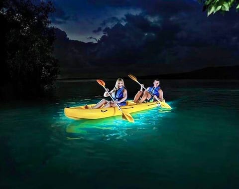 Offshore Island Bioluminescent experience.