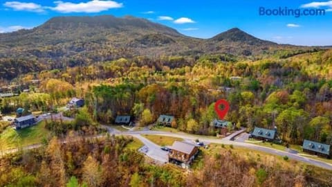 4 BD Luxury Cabin•Hot Tub•Theater•Pool Table•S'mores•EZ Roads