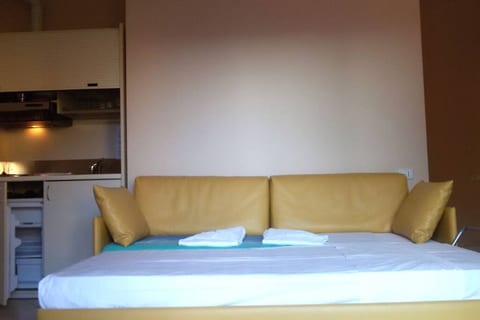 Ambiente confortevole e funzionale con divano con due letti singoli estraibili