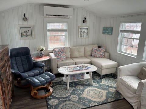Living room with plenty of windows/light! Smart TV and some games/books.