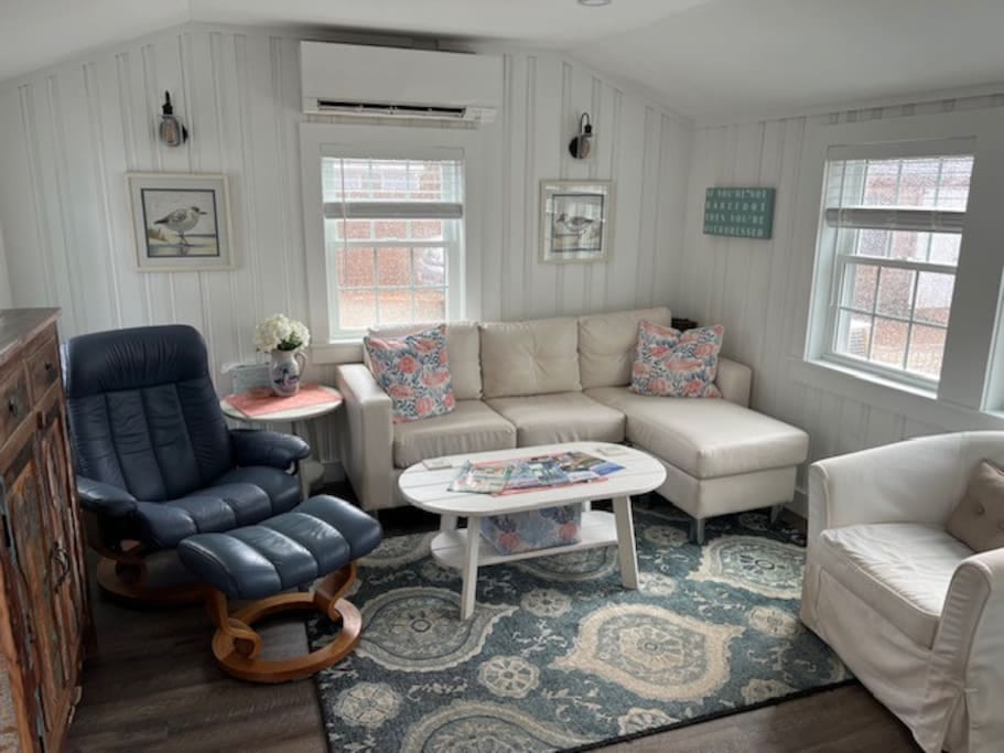 Living room with plenty of windows/light! Smart TV and some games/books.