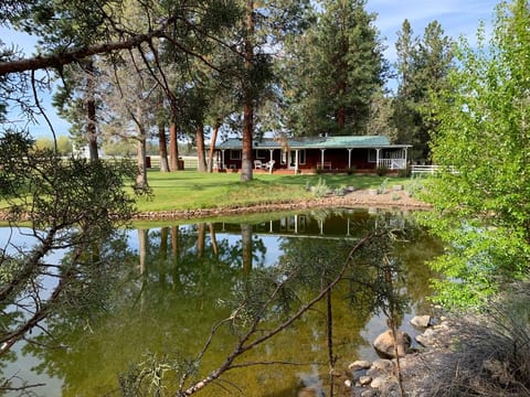 Current outside photo from the pond
