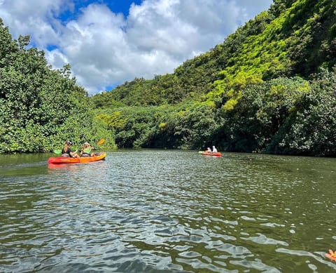 Wailua River