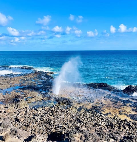 Spouting Horn