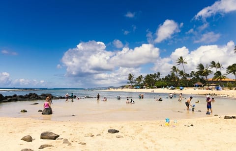 Poipu Beach - great for kids, snorkeling and beach bum