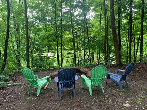 Guest fire pit looking through the trees down to the river.