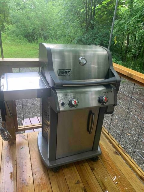 Weber Spirit 2 gas grill