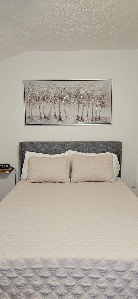 Queen bed with new Zinus Green Tea Pressure Relieving mattress. Mattress and pillow protectors washed and used for each stay.