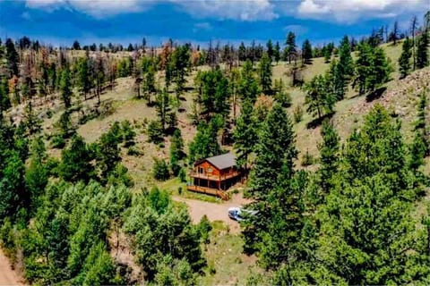 Family-sized mtn retreat w/ 8 acres, Pet-friendly