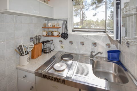 Apartment Ivan - Unit 47335-61