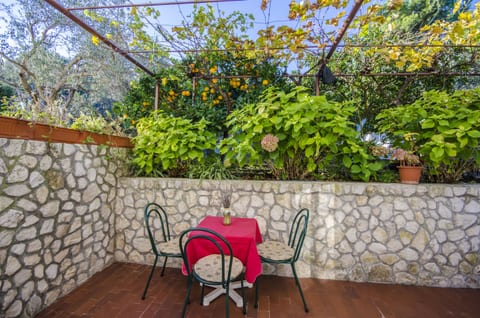 Apartments Dragica - Unit 49804-61