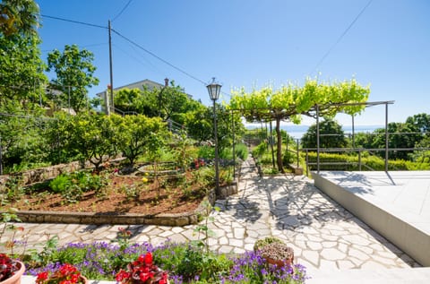 Apartments Mladen Jelica - Unit 51639-61