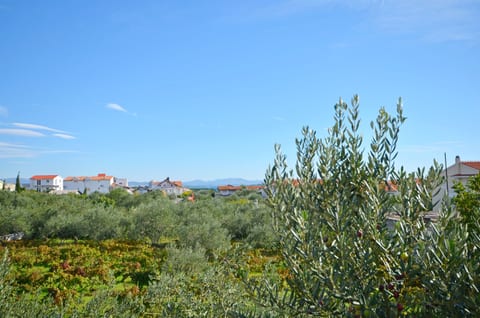Apartment and Rooms Ivana - Unit 124740-15