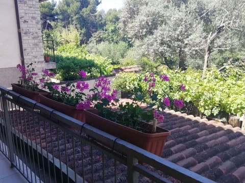 Apartments Jadranka - Unit 126389-15