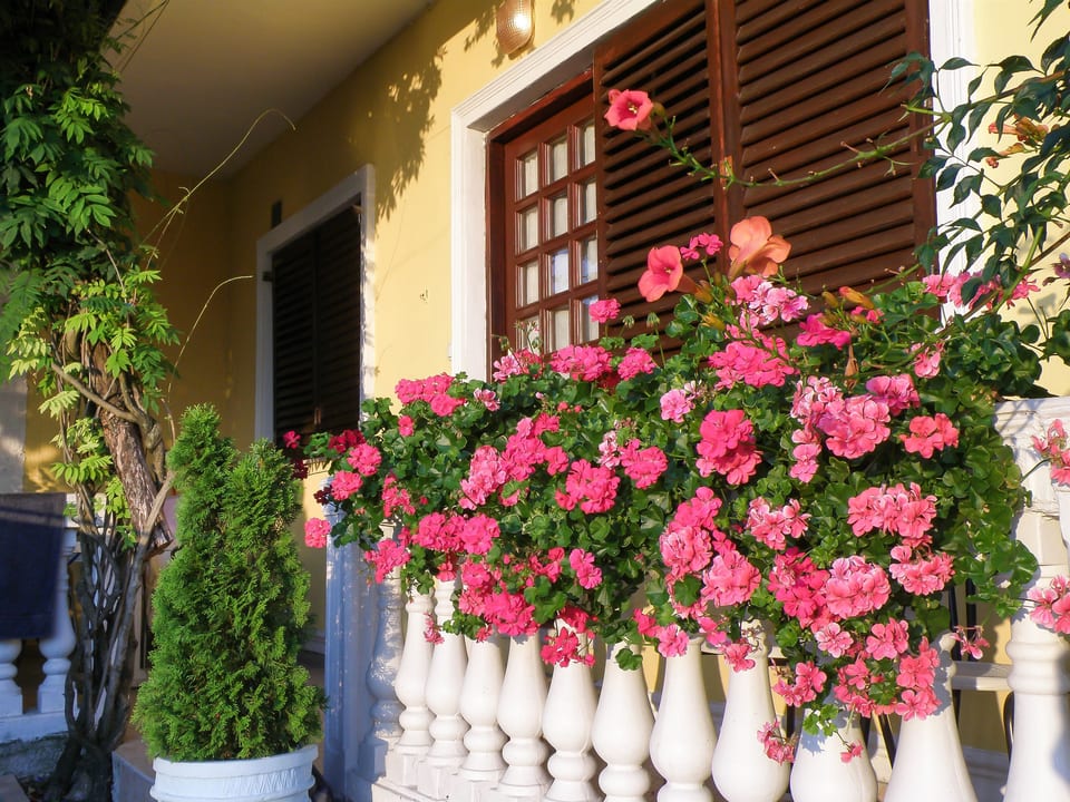 Apartments Vladislav - Unit 151630-15 - Croatia