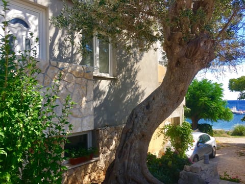 Apartments Suzana - Unit 155542-5