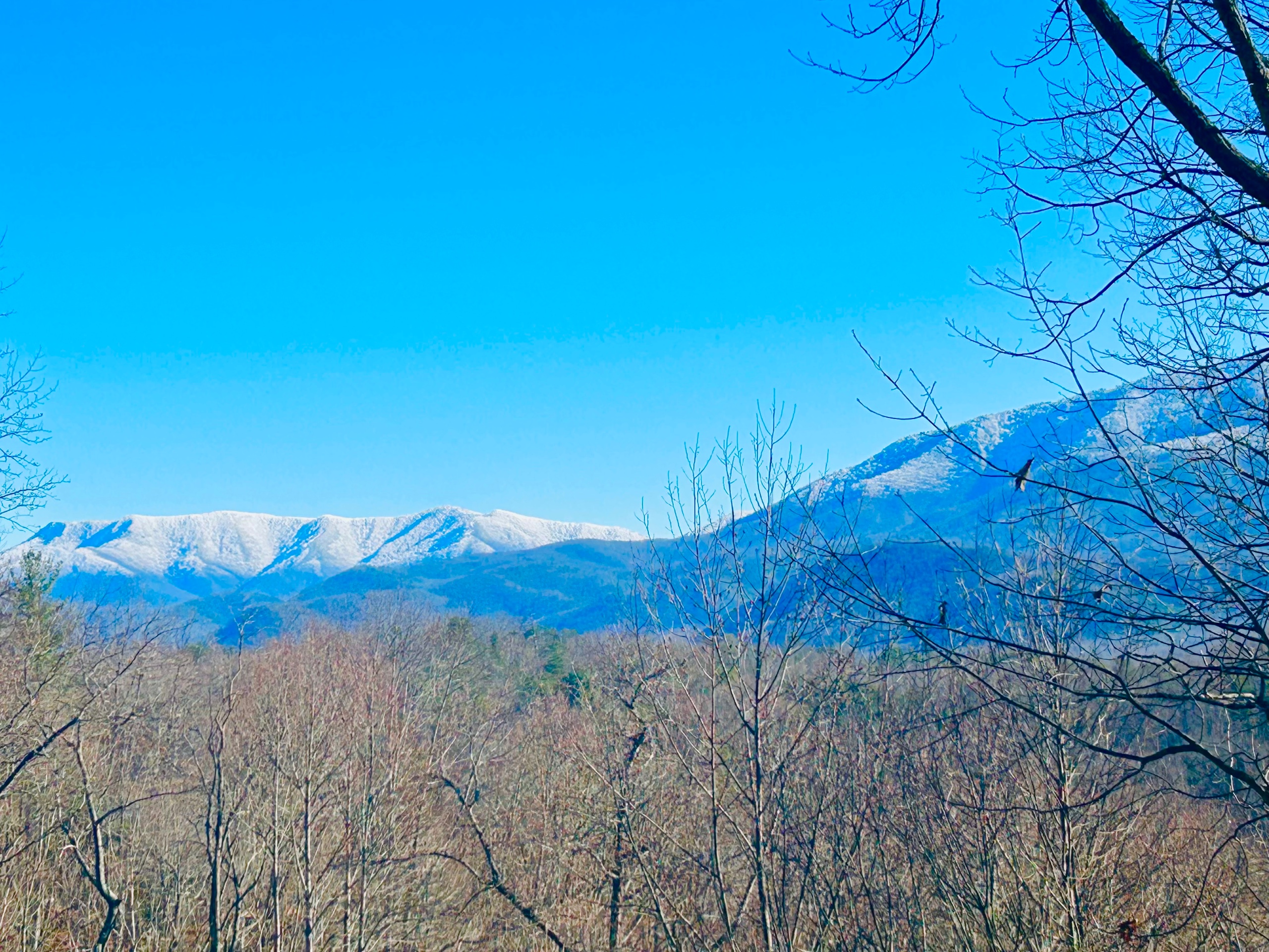 Snow in the mountains.