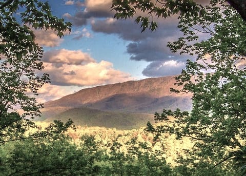 Smoky Mountain Vista