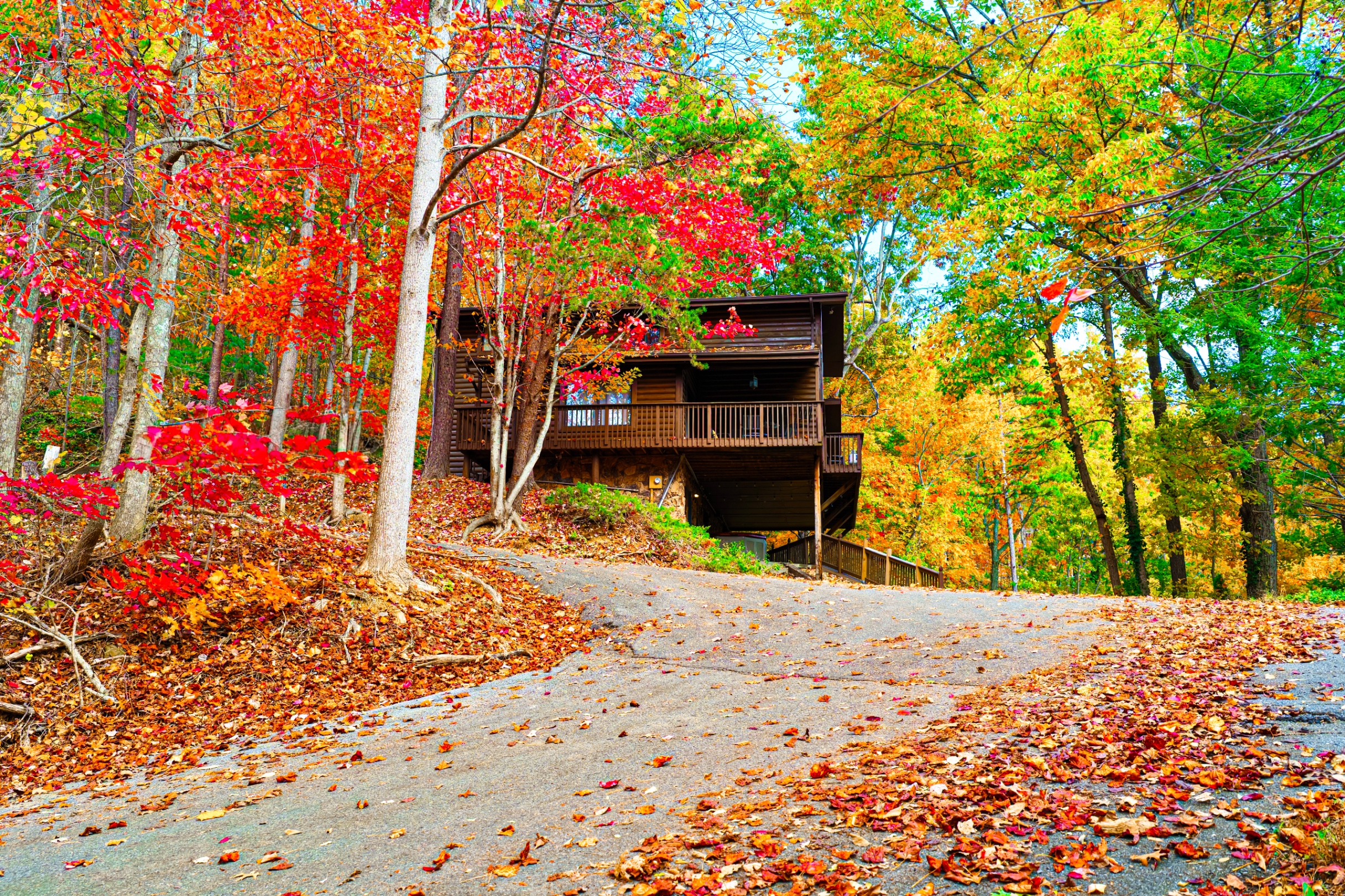 View of the cabin from Scenic Trail.