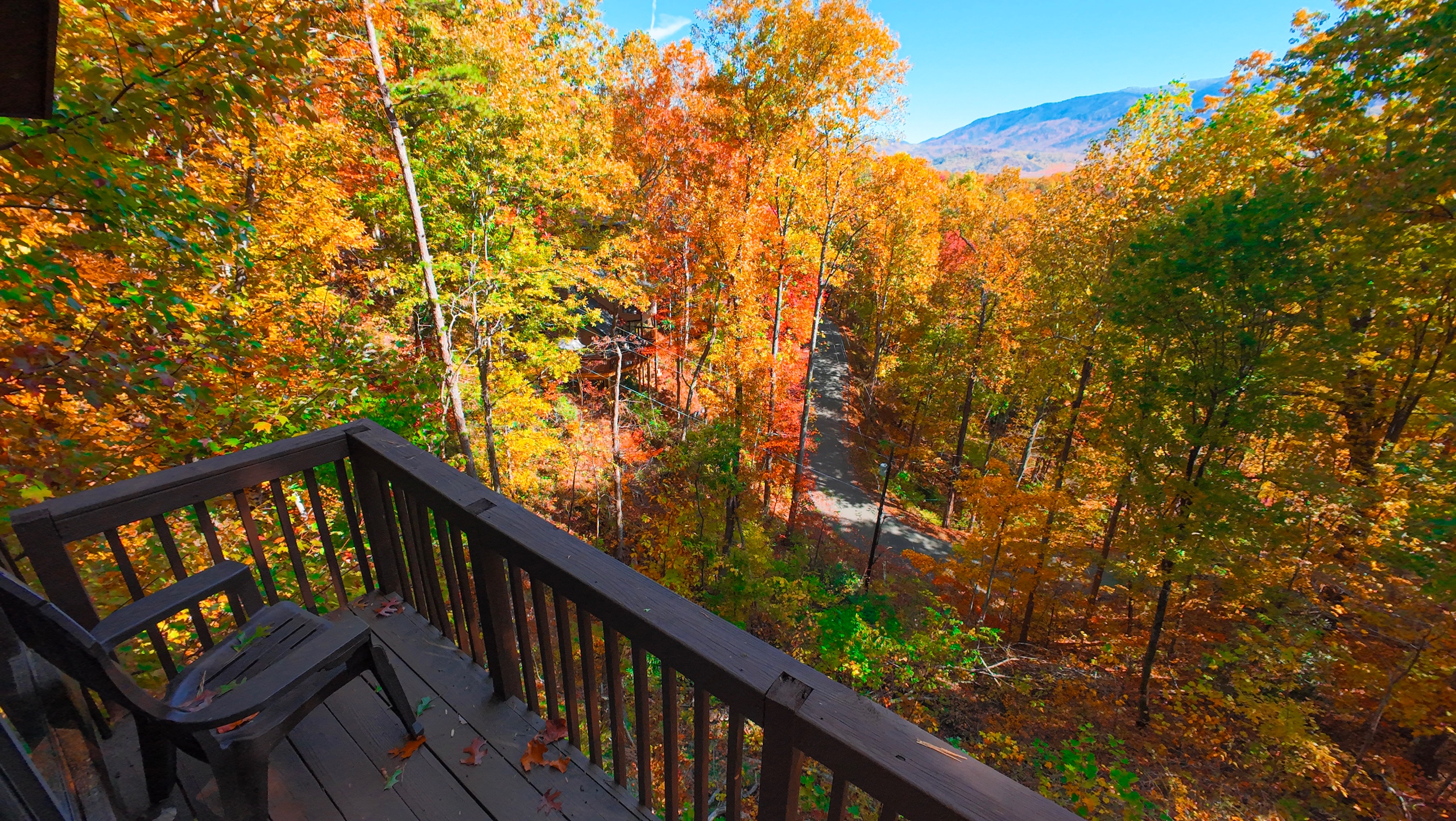 Fall colors & view from upper deck.