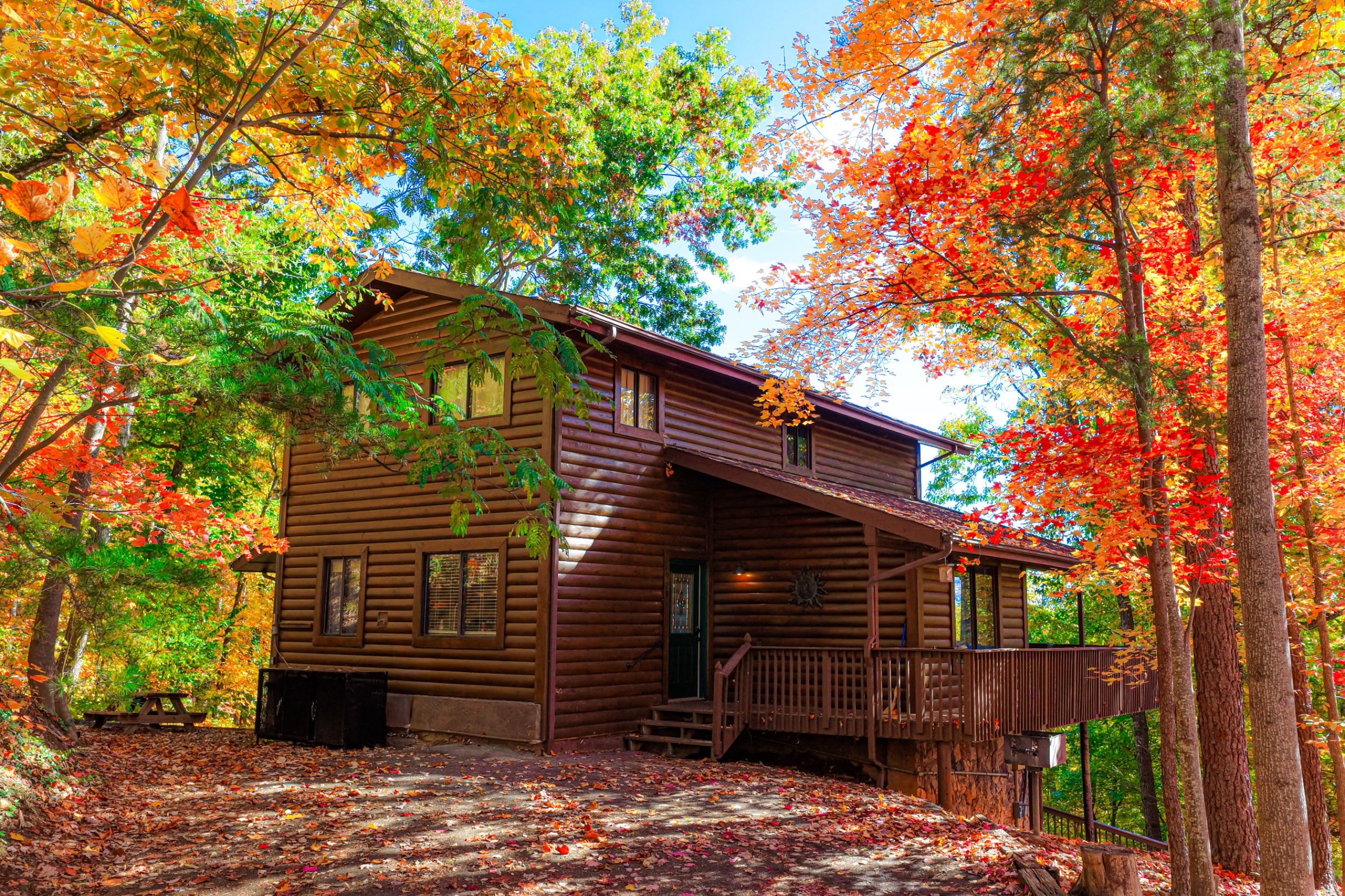 Stunning fall colors.