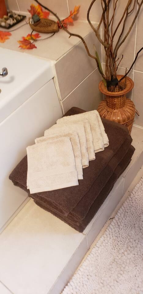 We offer Linen Rental package for $80. You get linens for all 6 beds, 12 towels, 12 rags, and 2 hand towels. 