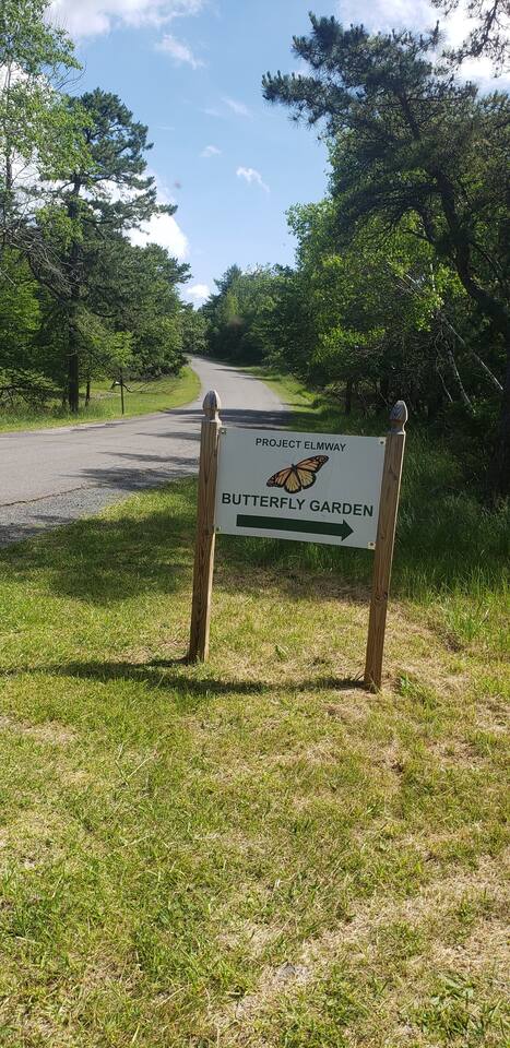 Children 6 and under will love the neighborhood butterfly garden. Preferable visit time is in Spring when flowers are blooming! 